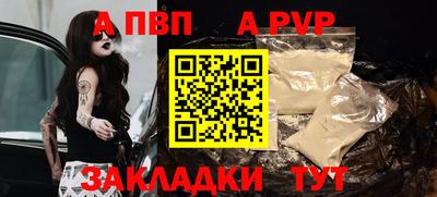 ECSTASY Аргун